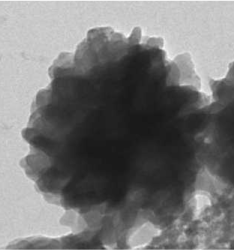gold nanorods